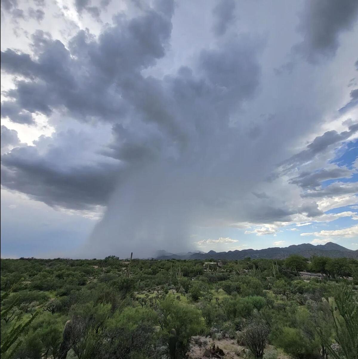 Luxury 3Bd 2Ba Home Near Tucson With Desert Views - Low Summer Rates! Oro Valley Eksteriør bilde