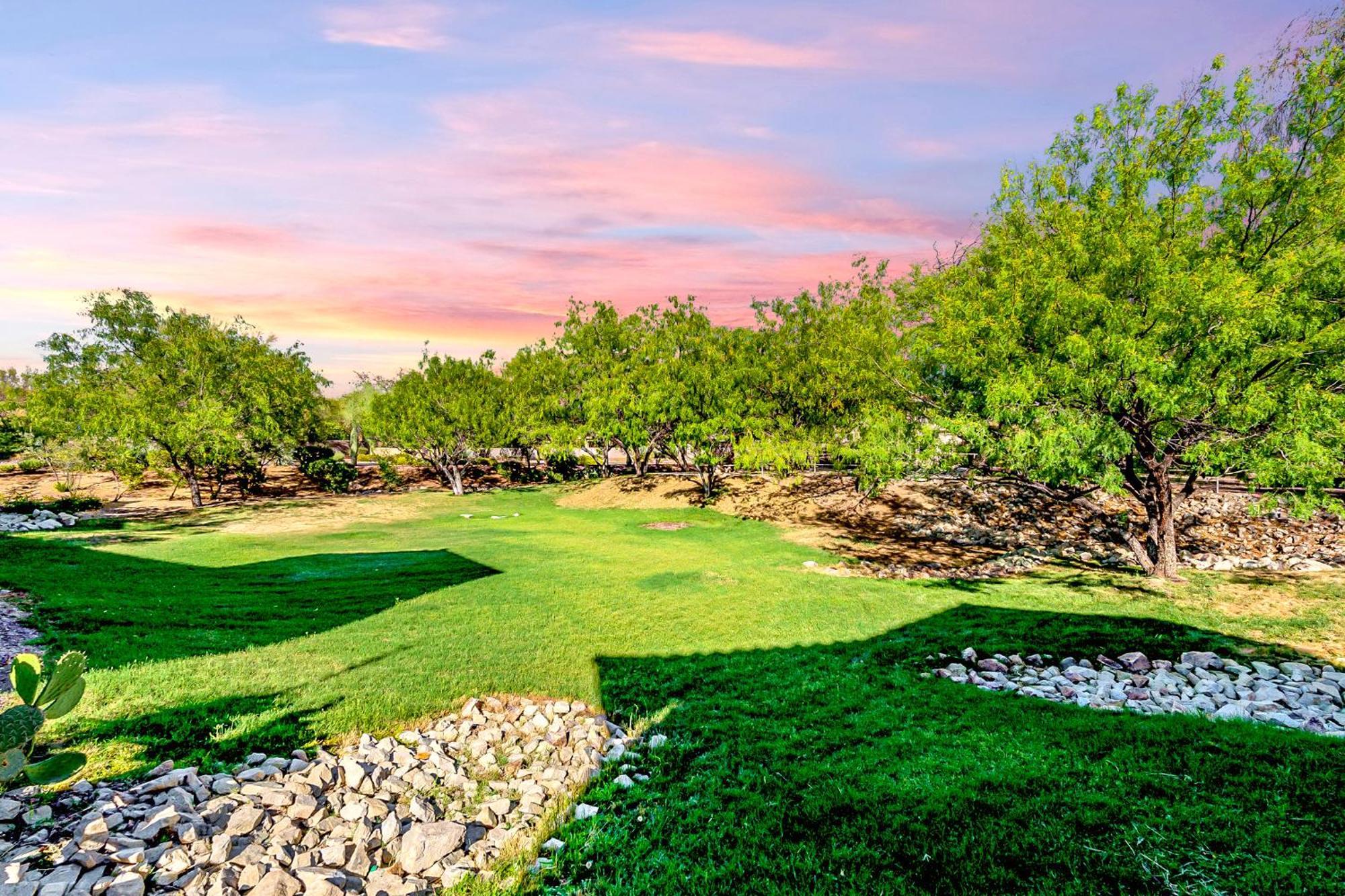 Luxury 3Bd 2Ba Home Near Tucson With Desert Views - Low Summer Rates! Oro Valley Eksteriør bilde